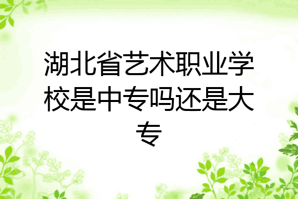 湖北省艺术职业学校是中专吗还是大专