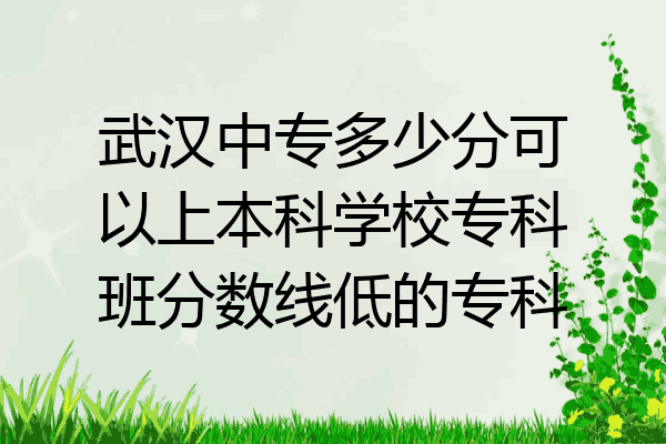 武汉中专多少分可以上本科学校专科班分数线低的专科