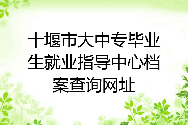 十堰市大中专毕业生就业指导中心档案查询网址