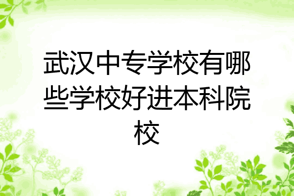 武汉中专学校有哪些学校好进本科院校