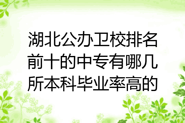 湖北公办卫校排名前十的中专有哪几所本科毕业率高的