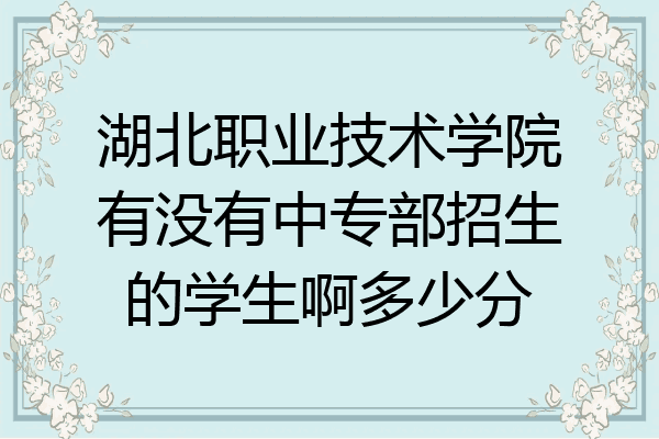 湖北职业技术学院有没有中专部招生的学生啊多少分