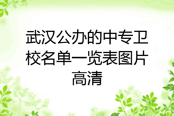 武汉公办的中专卫校名单一览表图片高清