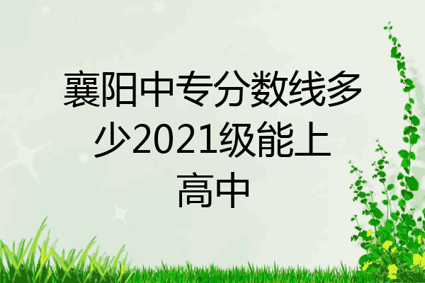 襄阳中专分数线多少2021级能上高中