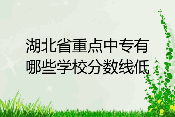 湖北省重点中专有哪些学校分数线低
