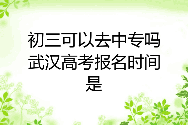 初三可以去中专吗武汉高考报名时间是