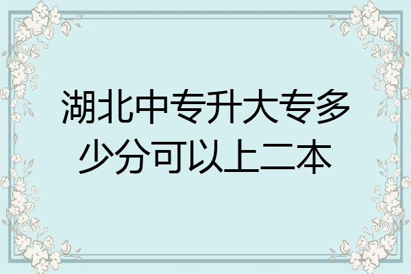 湖北中专升大专多少分可以上二本