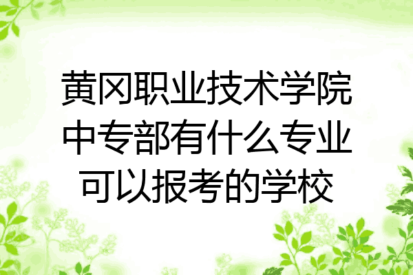 黄冈职业技术学院中专部有什么专业可以报考的学校