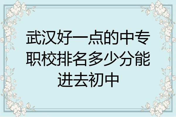武汉好一点的中专职校排名多少分能进去初中