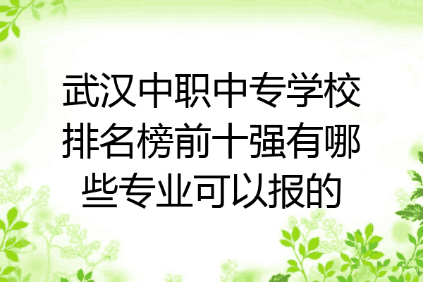 武汉中职中专学校排名榜前十强有哪些专业可以报的