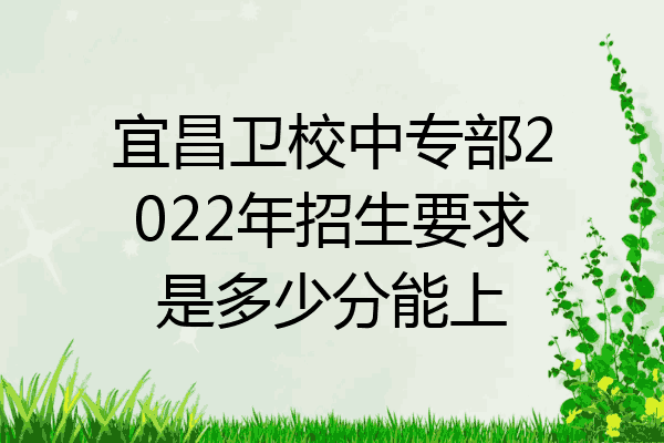 宜昌卫校中专部2022年招生要求是多少分能上
