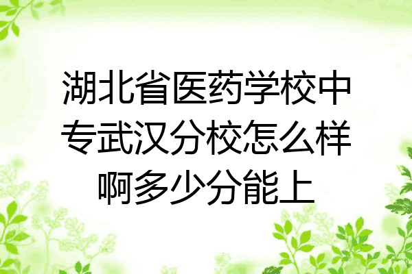湖北省医药学校中专武汉分校怎么样啊多少分能上
