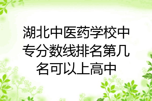 湖北中医药学校中专分数线排名第几名可以上高中