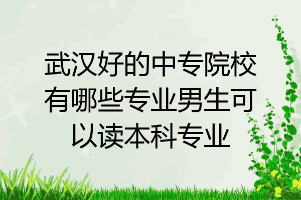 武汉好的中专院校有哪些专业男生可以读本科专业