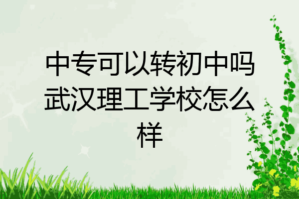中专可以转初中吗武汉理工学校怎么样