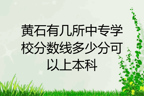黄石有几所中专学校分数线多少分可以上本科