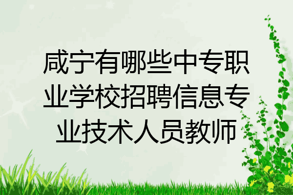 咸宁有哪些中专职业学校招聘信息专业技术人员教师