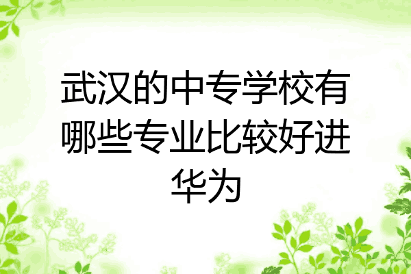 武汉的中专学校有哪些专业比较好进华为