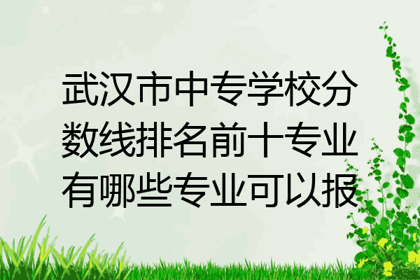 武汉市中专学校分数线排名前十专业有哪些专业可以报