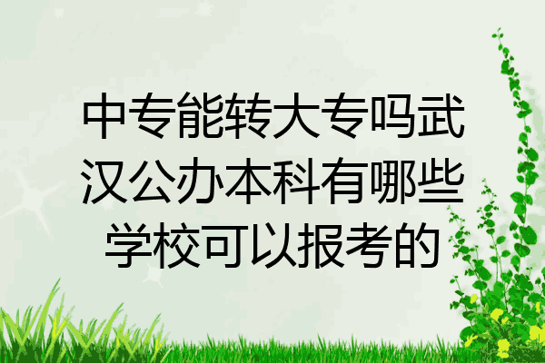 中专能转大专吗武汉公办本科有哪些学校可以报考的