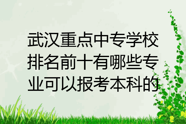 武汉重点中专学校排名前十有哪些专业可以报考本科的