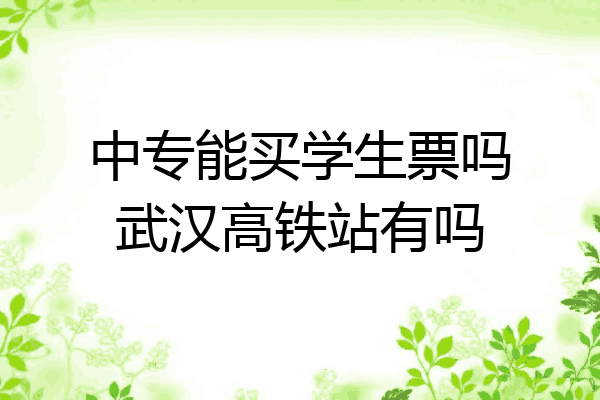 中专能买学生票吗武汉高铁站有吗