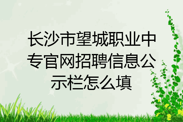 长沙市望城职业中专官网招聘信息公示栏怎么填