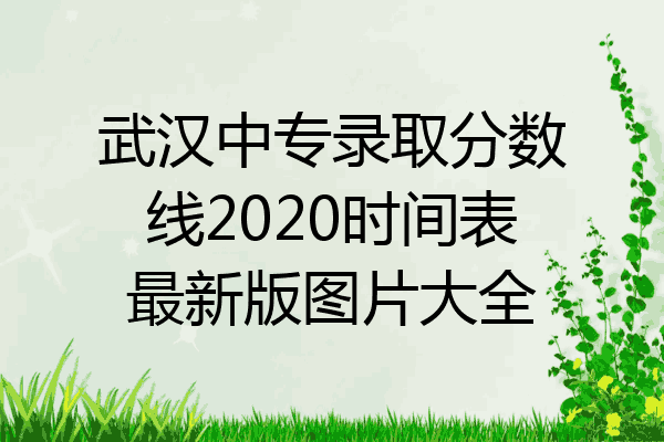 武汉中专录取分数线2020时间表最新版图片大全
