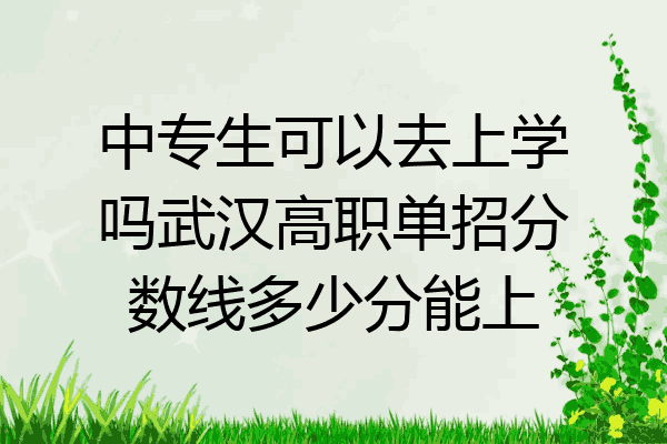 中专生可以去上学吗武汉高职单招分数线多少分能上