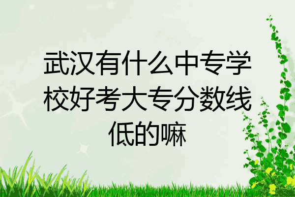 武汉有什么中专学校好考大专分数线低的嘛