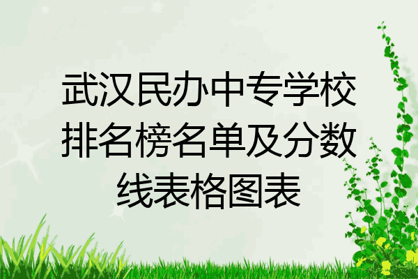 武汉民办中专学校排名榜名单及分数线表格图表