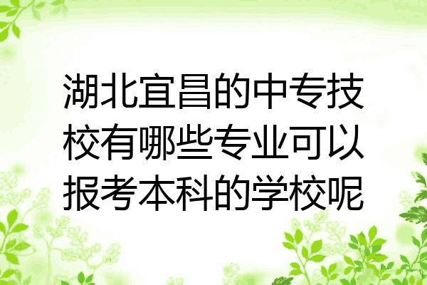 湖北宜昌的中专技校有哪些专业可以报考本科的学校呢