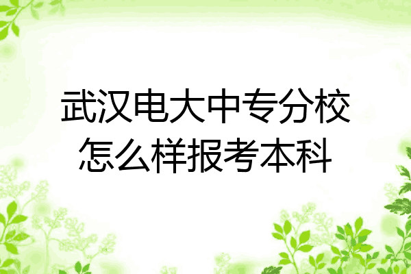 武汉电大中专分校怎么样报考本科