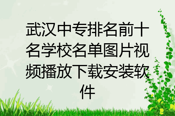 武汉中专排名前十名学校名单图片视频播放下载安装软件