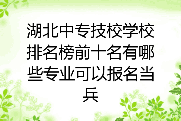 湖北中专技校学校排名榜前十名有哪些专业可以报名当兵