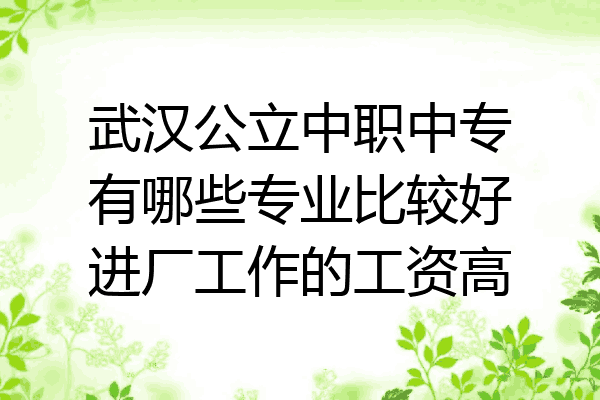 武汉公立中职中专有哪些专业比较好进厂工作的工资高