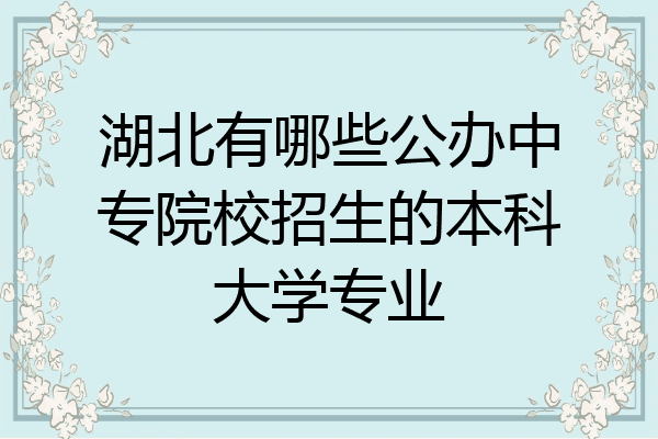 湖北有哪些公办中专院校招生的本科大学专业