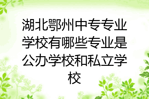 湖北鄂州中专专业学校有哪些专业是公办学校和私立学校