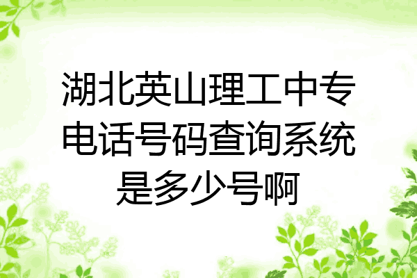 湖北英山理工中专电话号码查询系统是多少号啊
