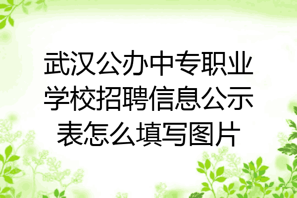 武汉公办中专职业学校招聘信息公示表怎么填写图片