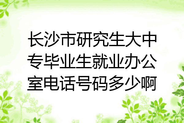 长沙市研究生大中专毕业生就业办公室电话号码多少啊