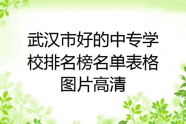 武汉市好的中专学校排名榜名单表格图片高清