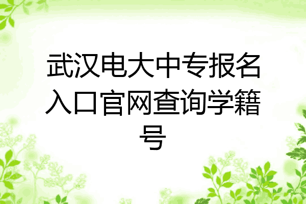 武汉电大中专报名入口官网查询学籍号