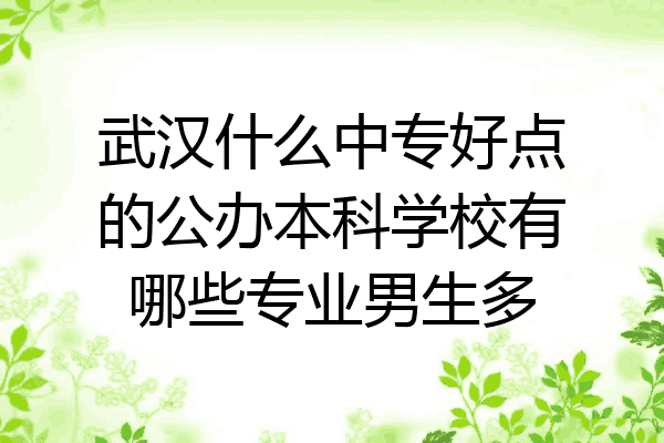 武汉什么中专好点的公办本科学校有哪些专业男生多