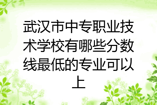 武汉市中专职业技术学校有哪些分数线最低的专业可以上