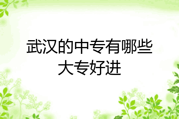 武汉的中专有哪些大专好进