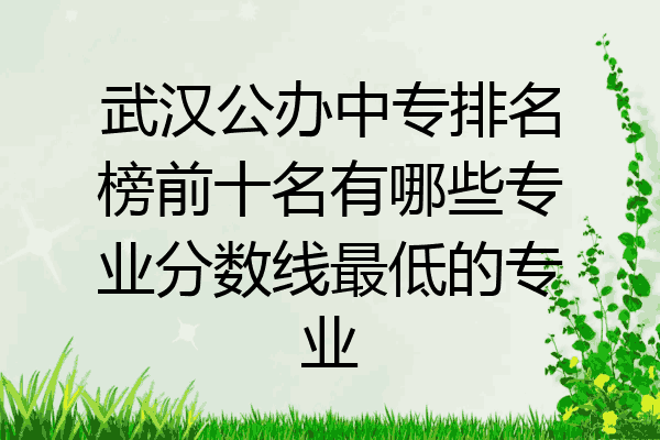 武汉公办中专排名榜前十名有哪些专业分数线最低的专业