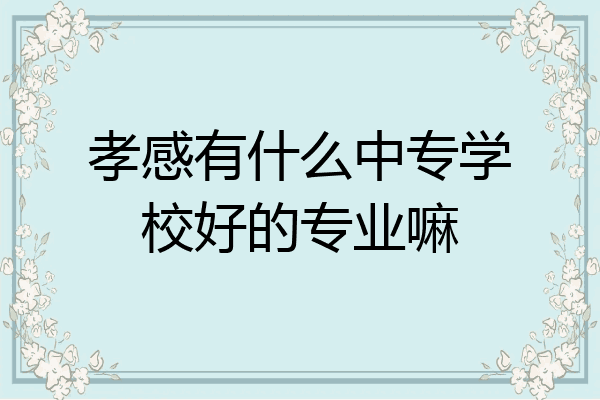 孝感有什么中专学校好的专业嘛