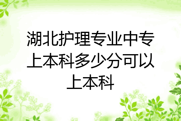 湖北护理专业中专上本科多少分可以上本科