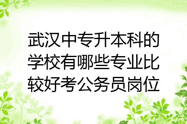武汉中专升本科的学校有哪些专业比较好考公务员岗位
